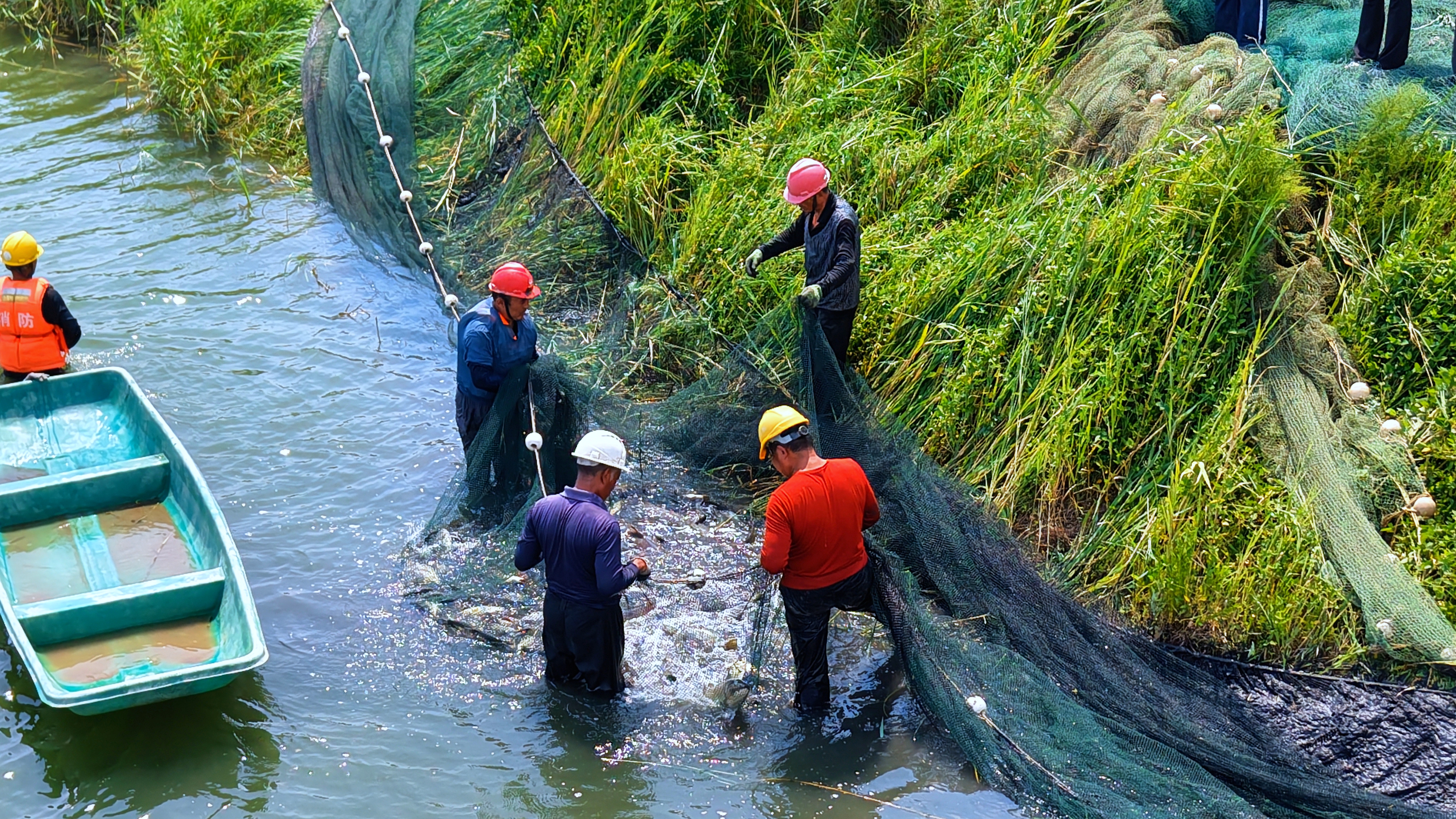 八月漁鮮正當食：博華生態(tài)農(nóng)業(yè)水產(chǎn)養(yǎng)殖中心喜獲豐收