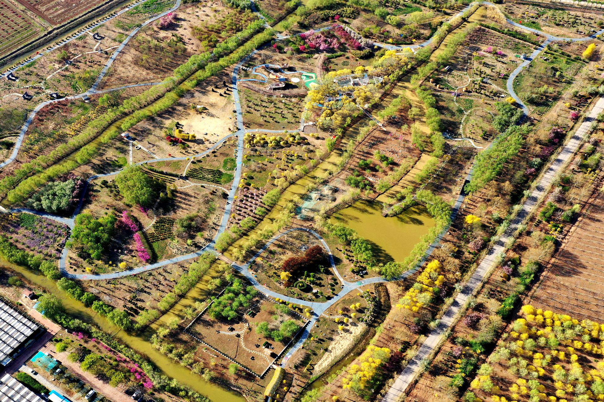 孔子草花園4月29日正式開園啦！